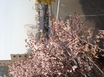 image/2012-04-13T14:26:54-1.jpg