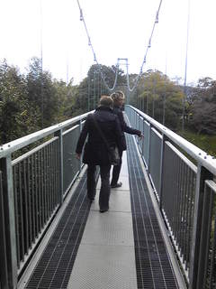 101116_121423.jpg