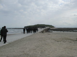 PB240032.JPG