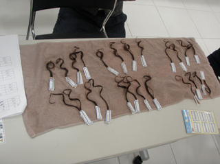 2012_12_pre005.jpg